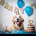 thumbnail image 2 of relayinert Happy Birthday Cake Decoration Plaque, 2 of 9
