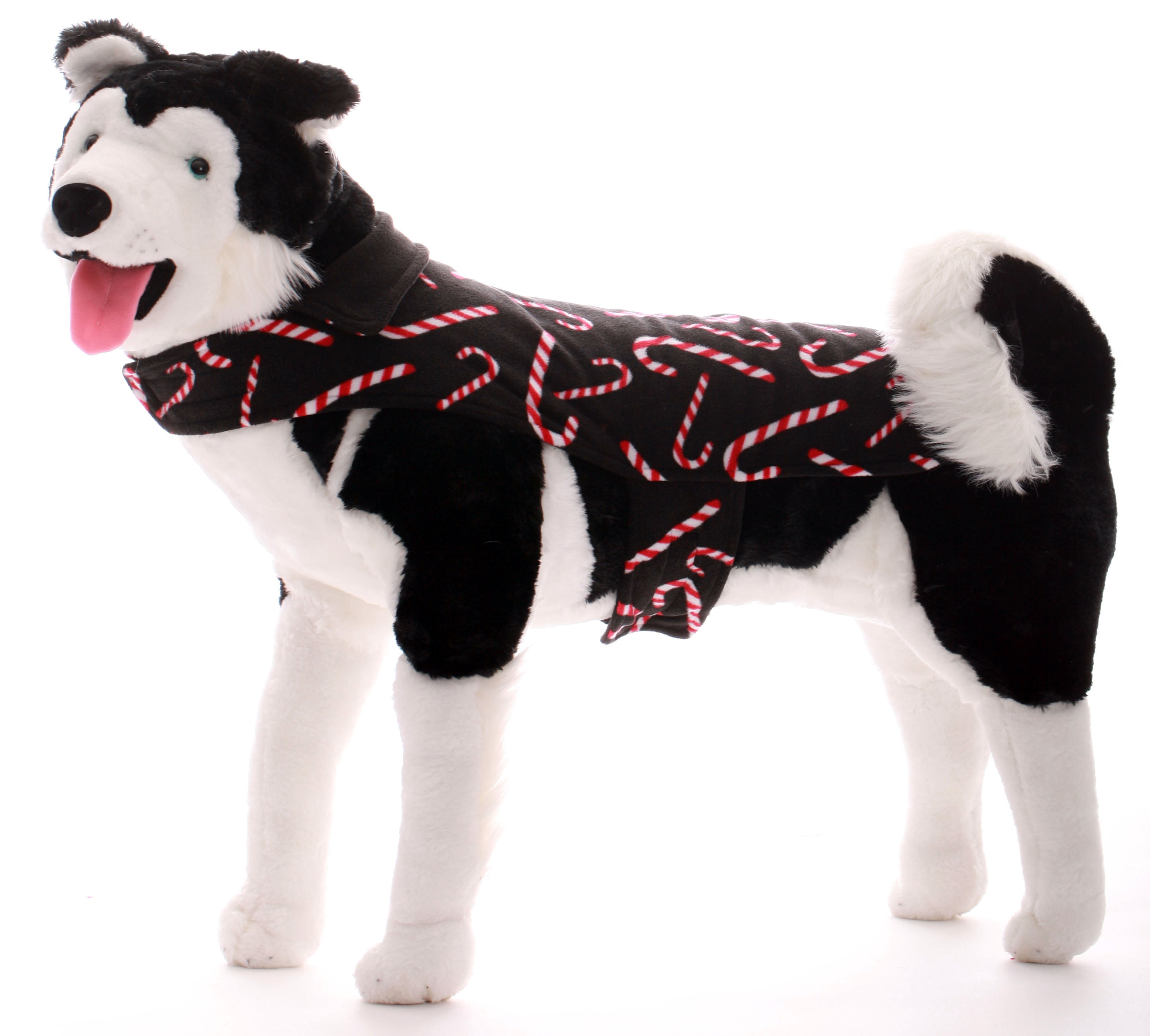 Are Dogs Allergic To Candy Canes