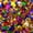 Multicolor Shredded, variant on PrimePure Confetti Party Cannon – Dual Pack, Multicolor Rectangle, Biodegradable Paper Confetti