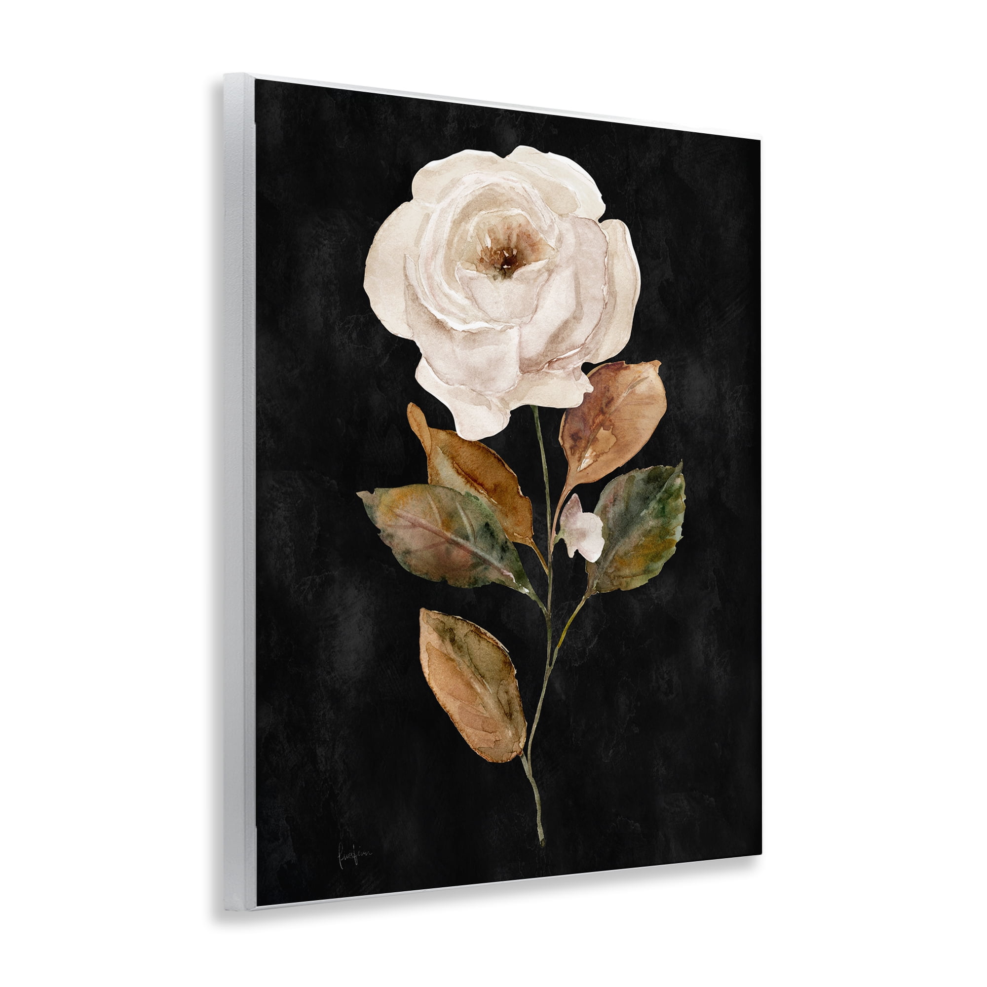 Stupell Industries White Rose on Black Plants & Flowers Painting Unframed Art Print Wall Art, 11 x 14