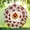 Option 4, variant on Fall Chicken Wind Spinner 10 Inch, Autumn Farmhouse Yard Decoration