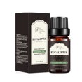 thumbnail image 2 of Fiudx Ofertas Relámpago Aceite Esencial De Jengibre Puro Natural, 10Ml, Para Drenaje, Masaje, Hinchazón, Alivio Del Dolor Y Alivio Del Aceite De Jengibre, 2 of 3