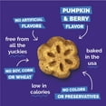 thumbnail image 6 of Fruitables Skinny Minis Pumpkin Berry Soft Dog Treats 5oz, 6 of 9