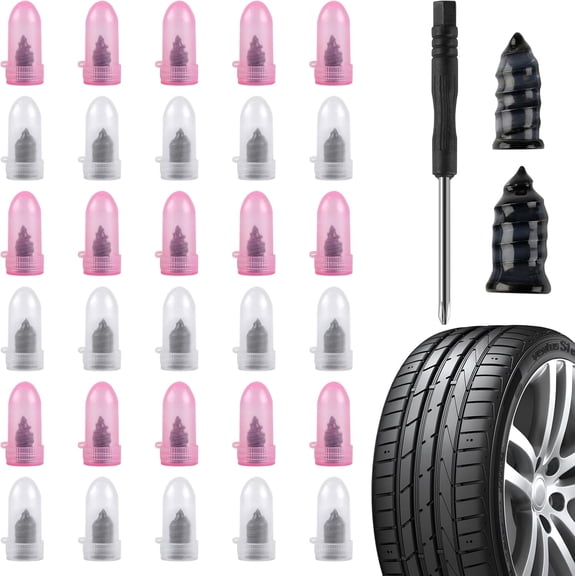 Tire Repair Rubber Nails Kit 30 PCS with Screwdriver & Storage Case