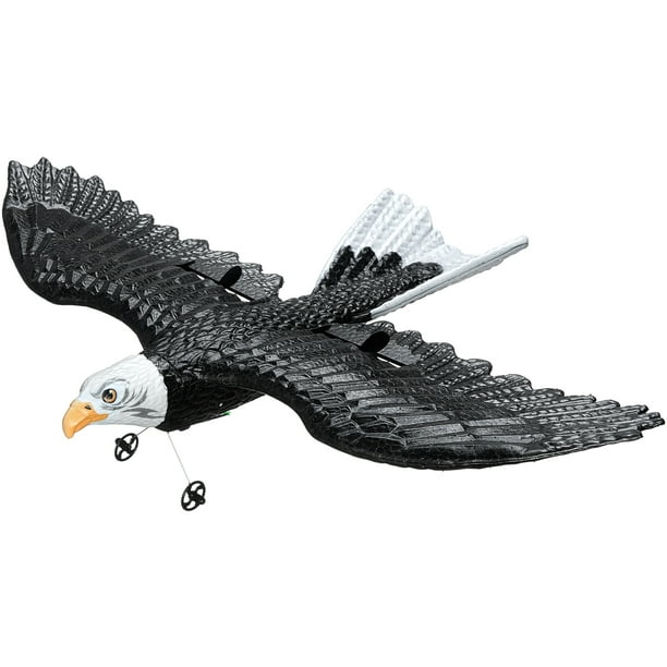 Epp eagle rc plane discount