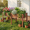 Brown, variant on LIFERECORD Wooden Raised Garden Bed with Legs, 48"L X 24"W X 30"H, Elevated Reinforced Large Planter Box for Vegetable Flower Herb Outdoors, Brown