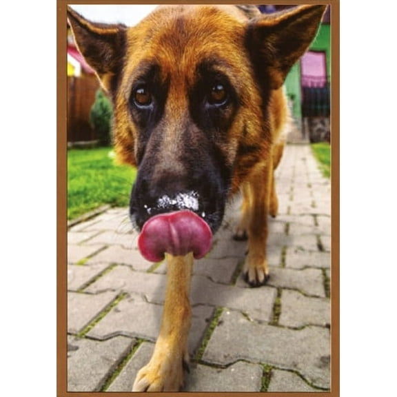 Recycled Paper Greetings Dog on Sidewalk Funny / Humorous Birthday Card