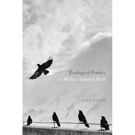 Pre-Owned Ecological Poetics; Or, Wallace Stevens's Birds (Paperback) 022668797X 9780226687971