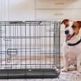 thumbnail image 1 of UPOUART Cat Cage Iron Collapsible Ventilation for Pet Resting 1Pcs, 1 of 4