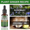 thumbnail image 5 of 3x EELHOE Hair Oil For Dry Scalp Stimulates Hair Growth Hair Care Essential Oil Refreshing Firming Skin Rosemary Oil, 5 of 5