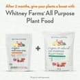 Whitney Farms Organic Potting Soil, 16 Qt.