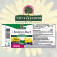 thumbnail image 2 of Nature's Answer | Dandelion Root, 2 Oz | Raíz de Diente de León, 60 Ml. Suplemento de apoyo al higado., 2 of 2