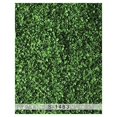 thumbnail image 1 of BSDHOME Fond de Photo en Polyester 5x7ft Feuille Verte Herbe Printemps, 1 of 2