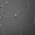 thumbnail image 4 of Crab Snare Trap 6 Loops Stainless Steel Rustproof 8.5cm Diameter Reusable Snare Ring for Crabbing 4PCS, 4 of 4