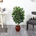 thumbnail image 5 of 44??Ficus Tree w/Decorative Planter, 5 of 5