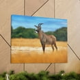 thumbnail image 6 of Antelope In Mountain Background Antelope In Grass Outside Wall Art Ready To Hang Unframed, 6 of 18