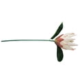 thumbnail image 2 of Tela de seda Flor falsa Oficina en casa Decoración floral Fiesta Ceremonia Flor artificial Fotografía Prop, Rosa Blanco Advancent HA6650-02B, 2 of 6