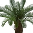 thumbnail image 4 of Nearly Natural 5' Cycas Artificial Tree UV Resistant (Indoor/Outdoor), 4 of 4