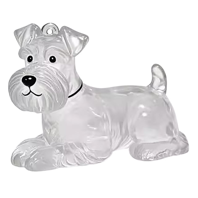 Pet Hair Memorial Keychain Transparent Puppy Keepsake Pendant Storage Bottle for Dog Lovers Unique Pet Accessory Idea
