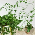 thumbnail image 2 of 100 PCS Wall Plants Climber Vine Sticky Wall Clips Green 3 Different Size Wall Fixture Clips | Plant Fixture Clips Self-Adhesive Plant Clips Fixing Hook, 2 of 8