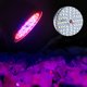 thumbnail image 1 of Lámpara De Crecimiento De Plantas Fit Standard E27 Socket Plant Grow Light, Grow Light, Para Flores Sistemas Hidropónicos Cultivo De Vegetales De Crecimiento Oscuro En Interiores, 1 of 8
