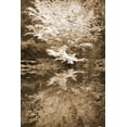 thumbnail image 2 of Vitaly Geyman 31x44 Gallery Wrapped Canvas Wall Art Titled - Fall Bouquet I, 2 of 4