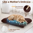 thumbnail image 7 of Sasttie Small Dog Bed, Soft Rose Velvet Washable Crate Pad for Small and Medium Dogs, Non-Slip Bottom, Suitable Kennel Cage and Cat Bed Mat, 23 x 18 in, Dark Brown, 7 of 7