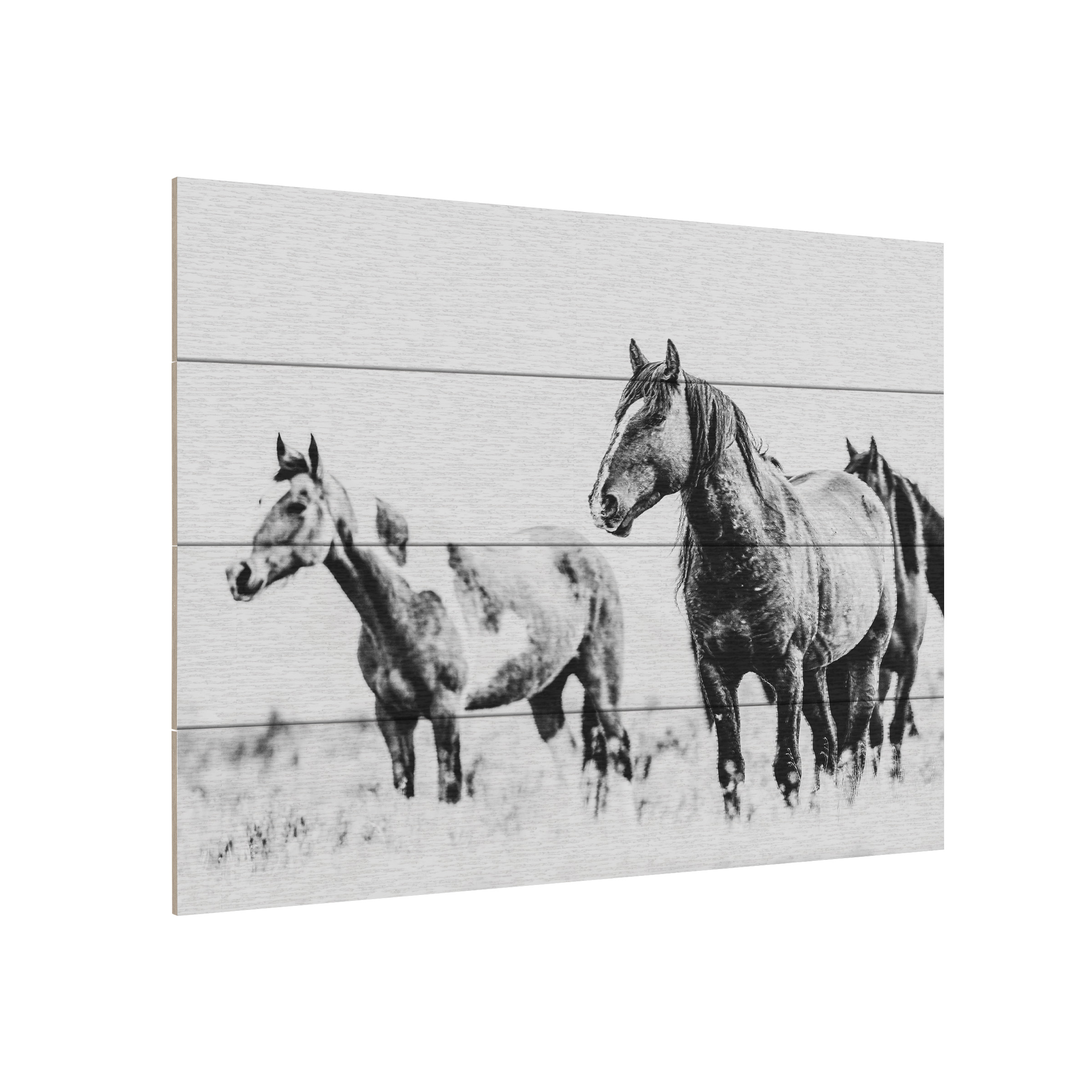 LightBoxJournal 'Wild Horses of the Great Basin 04' Wood Slat Art 12x16