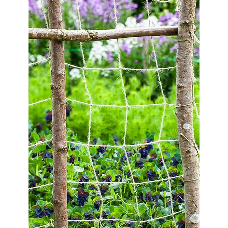 Scheam Jute Netting Plant Support Netting 1.8m*2m Garden Pea Bean Net  Eco-Friendly Biodegradable Climbing Plant Trellis Rope Netting Natural  Twine Net for Garden Climbing Plants Sweet Peas - Walmart.com