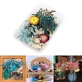 thumbnail image 3 of simhoa Real Dried Flower Pressed Leaves DIY For Epoxy Resin Jewelry Making 6, 3 of 8