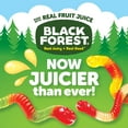 Black Forest Gummy Worms AIF4 Candy, Made With Real Fruit Juice