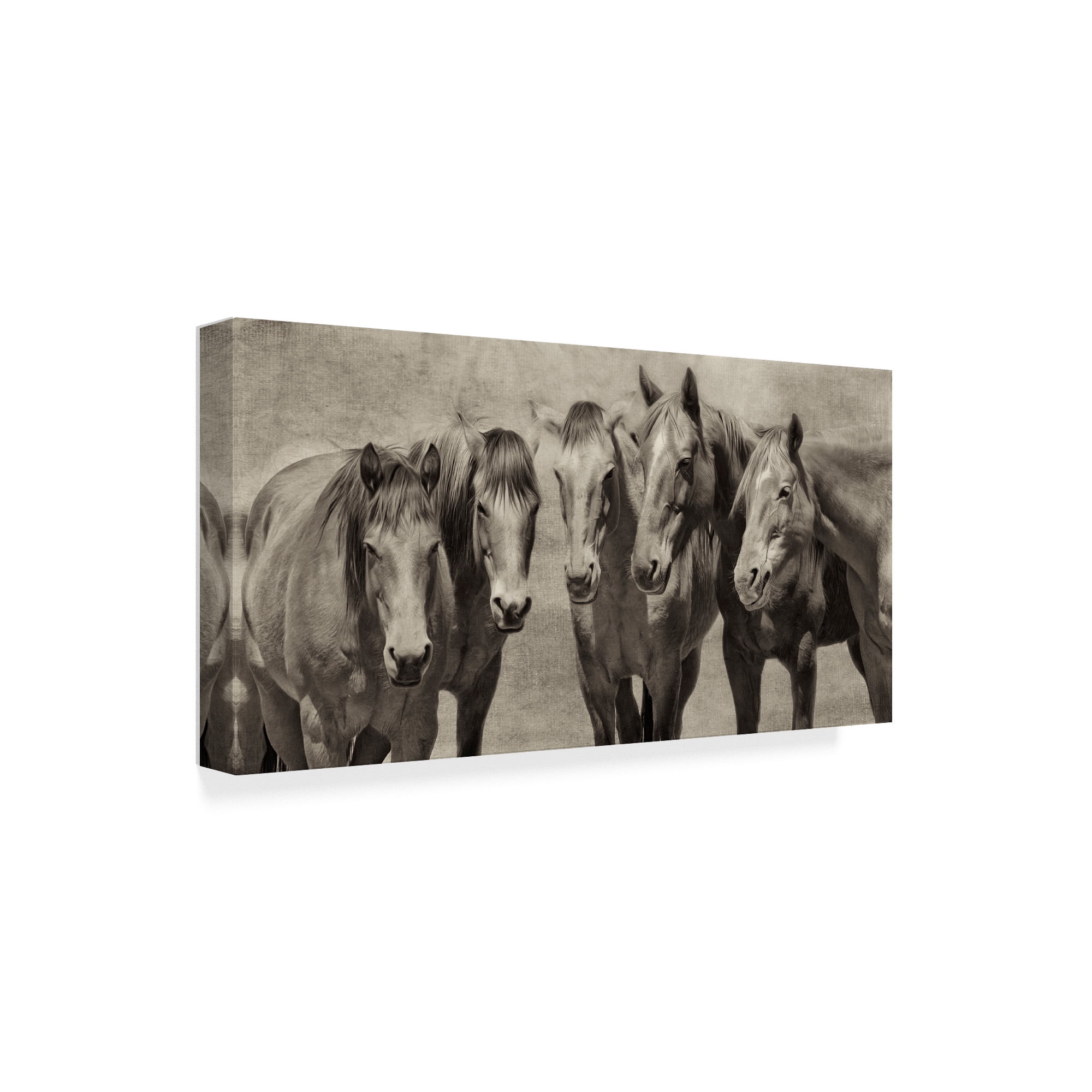 Trademark Fine Art 'Meeting of the Minds Horse' Canvas Art by PHBurchett