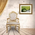 thumbnail image 3 of Westum, Heidi 32x23 Gold Ornate Wood Framed with Double Matting Museum Art Print Titled - Green Harmony, 3 of 4