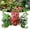 Saxifrage Heuchera Micrantha, variant on 5 Pcs Reptile Plants & Habitat Decor Kit - 3 Artificial Plants & Large 5ft Jungle Vine Branch, Amphibian Habitat Hideout Tank Decorations fit Crested Gecko Leopard Lizard Chameleon Ball Python Frog