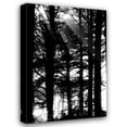 thumbnail image 1 of Erin Berzel 31x44 Gallery Wrapped Canvas Wall Art Titled - Light and Shadows II, 1 of 4