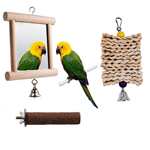 Fit Fly Bird Cage Mirror Swing Perch Toy 