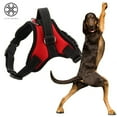 thumbnail image 4 of Luxtrada No Pull Padded Comfort Mesh Dog Walking Harness for Small and Medium Dogs (Red, XXL), 4 of 8