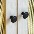 thumbnail image 4 of 31.5'' Tall 2 - Door Accent Cabinet, 4 of 8