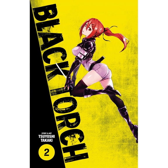 Black Torch, Vol. 2 (Paperback)
