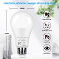 thumbnail image 2 of Bombillas LED GoBright A19, 13 W, 5000 K, luz blanca diurna, paquete de 12, 2 of 8