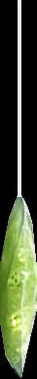 Creme 1.5" Mini Tail Tube Lures, Chartreuse Glitter, 15 Count