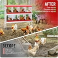 thumbnail image 5 of Nesting Boxes for Chickens, 8 Compartment Metal Chicken Laying Boxes with Metal Legs, Perch, Secure Lid, Wall Mount/ Freestanding for Hens, Red, 5 of 7