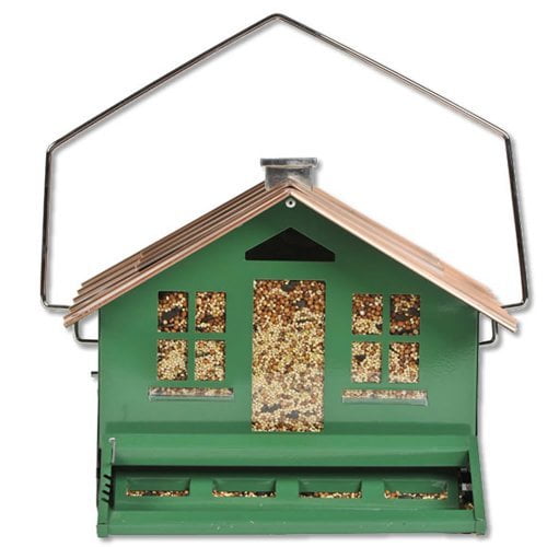 pet paradise winter garden camera