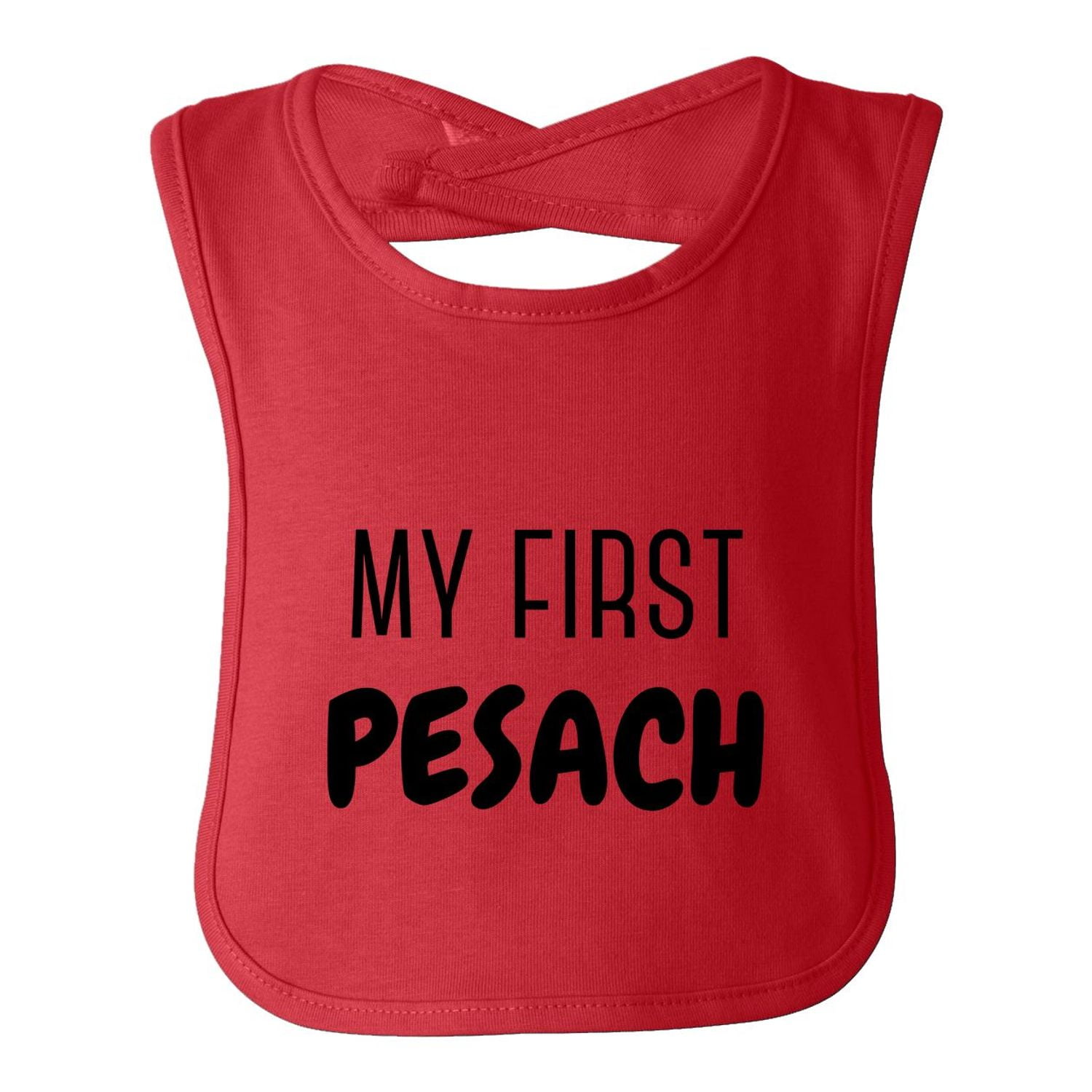 my first passover bib