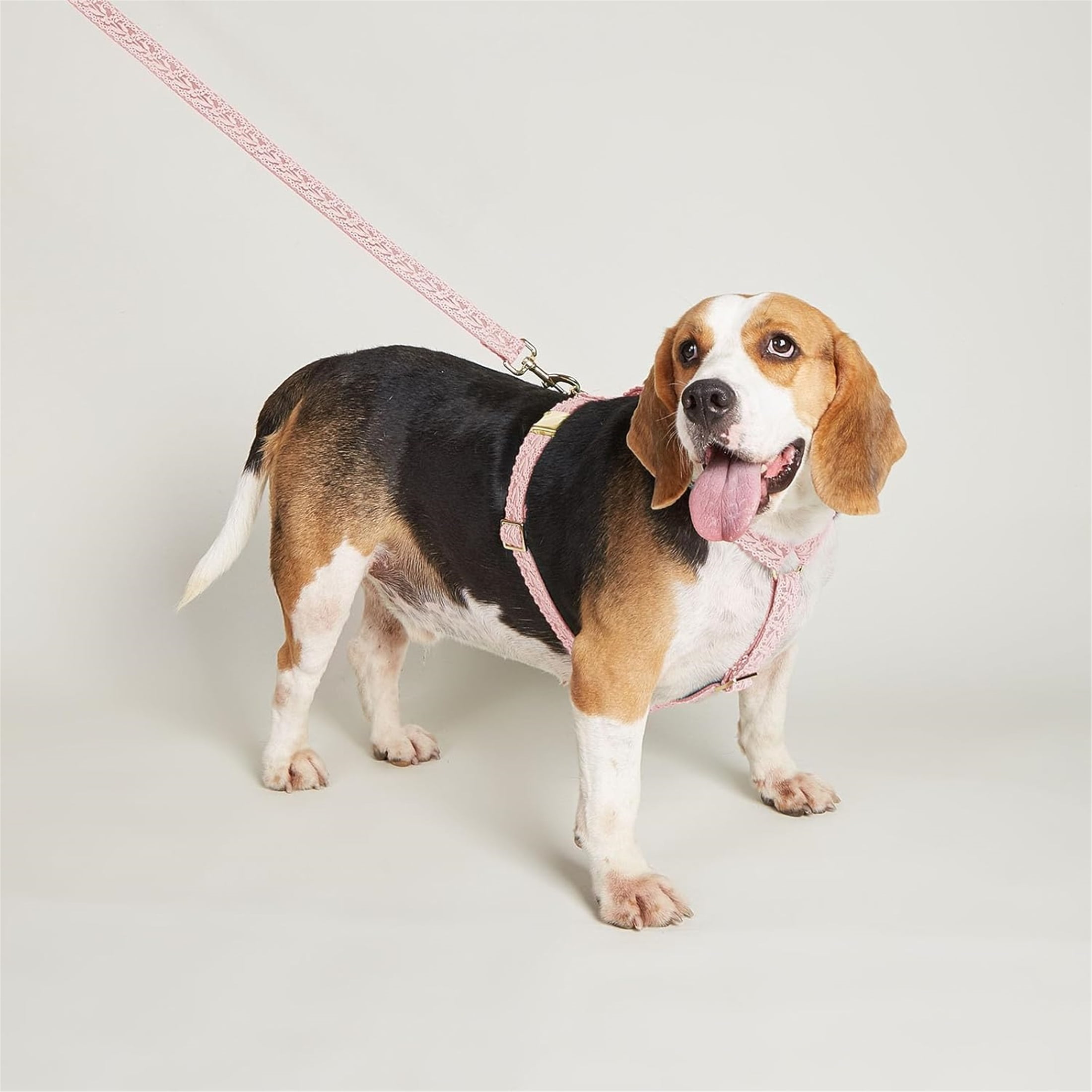 HQREA Embroidered Dog Harness and Leash Set, Easy Walk No Pull Dog Harness with Handle & Bow for Female Dogs