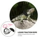 thumbnail image 5 of 2 sets lagarto tracción cuerda verde iguana pequeño ardilla correa reptiles leash, 5 of 6