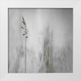 thumbnail image 1 of Claes, Gilbert 15x15 White Modern Wood Framed Museum Art Print Titled - blade of grass, 1 of 4