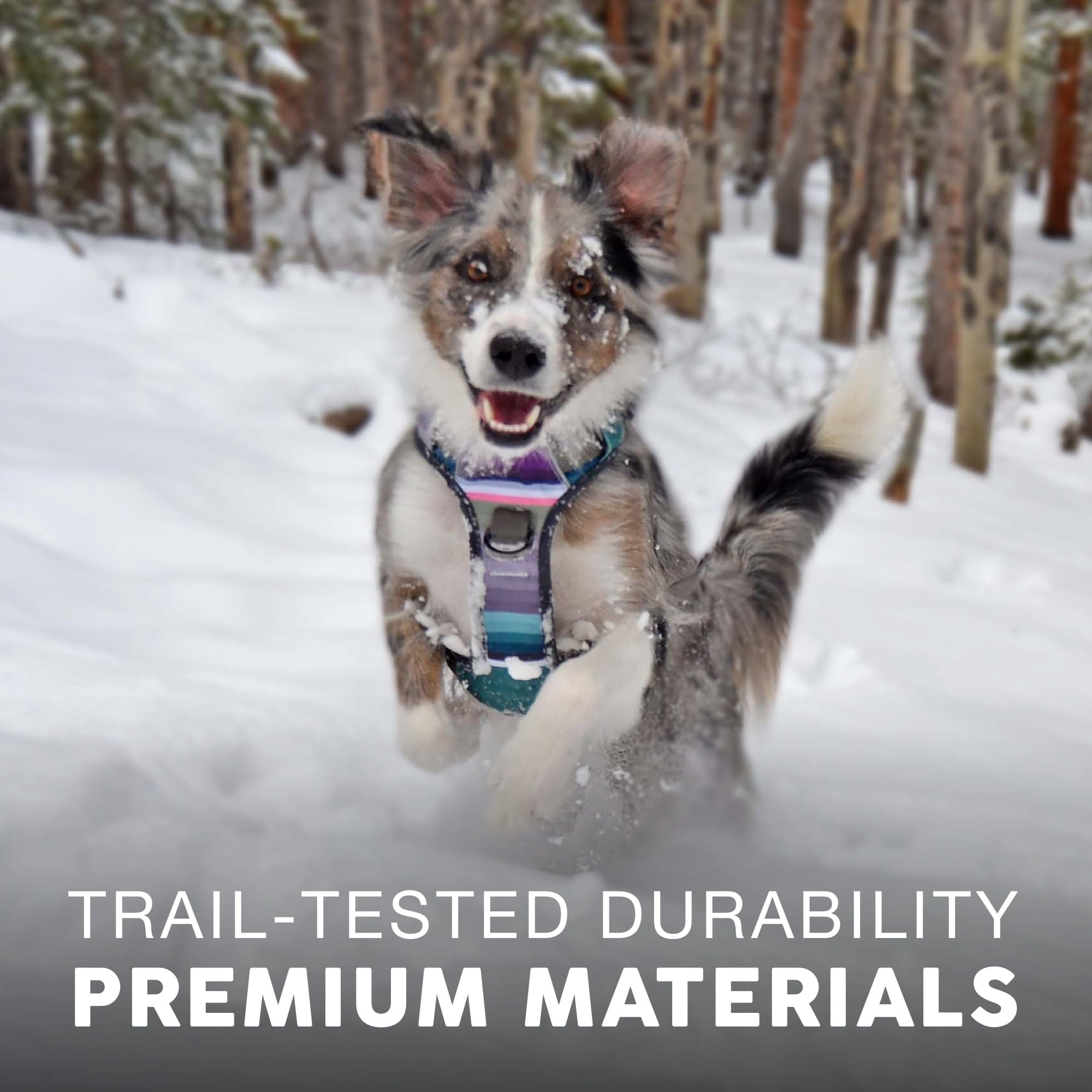 Embark Adventure Dog Harness For Small  Medium & Large Dogs - No Pull Reflective Trim Heavy Duty Oxford 2 Leash Clips Gel-lined Handle Soft Padded