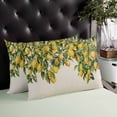 thumbnail image 4 of Summer Lemon Throw Pillow Covers, Green Botancial Summer Yellow Fruits Rustic Soft Breathable Pillow Cases with Invisible Zipper for Sleeping, Body Pillowcases for Couch Bed Sofa Chair 24x36 Inches, 4 of 6