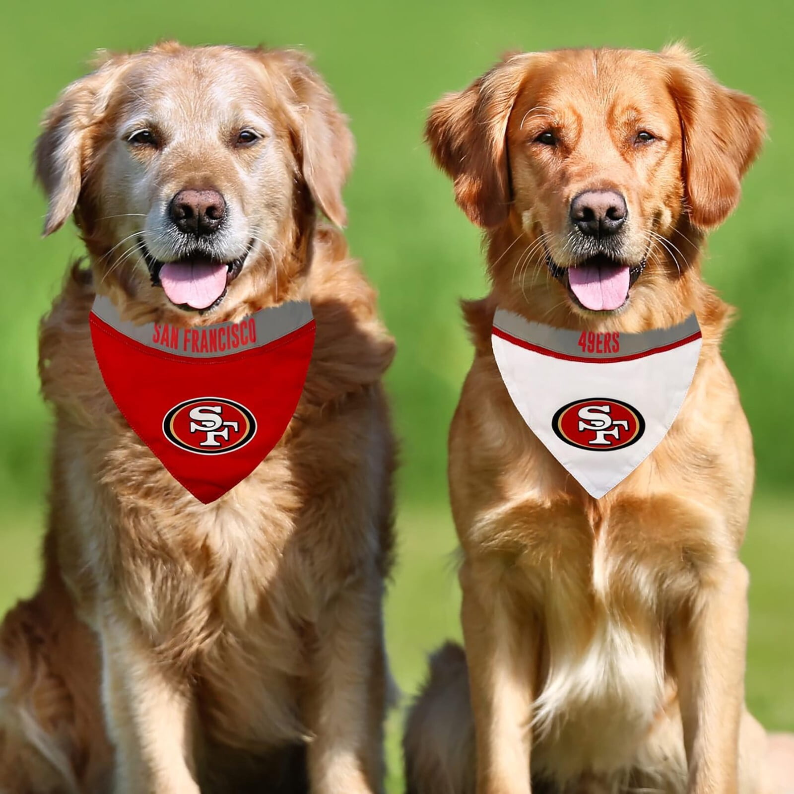 Pets First #1 NFL Party Bandana, Reflective Dog Bandana & Cat Bandana